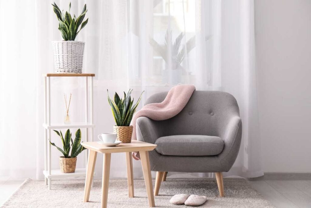 Sala Com sofá, plantas e decoração simples e gastando pouco