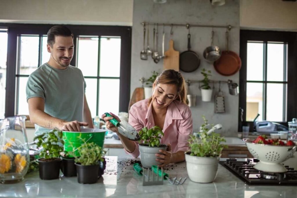 Casal plantando Ervas nos vasos.